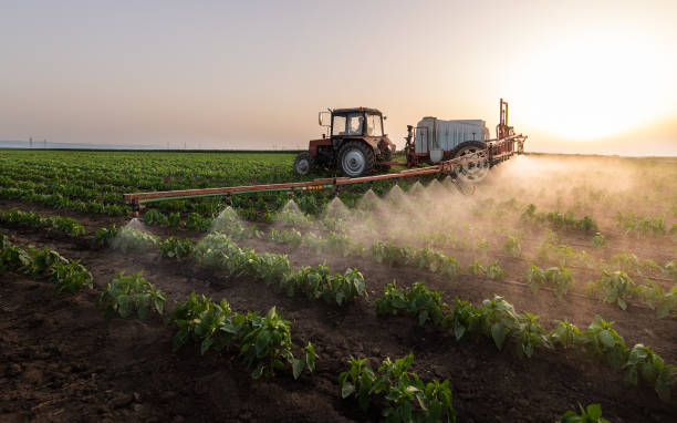 Best Mosquito Control Services  in Pelham Manor, NY