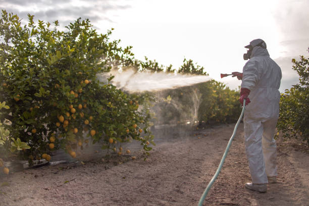 Insect Control in Pelham Manor, NY