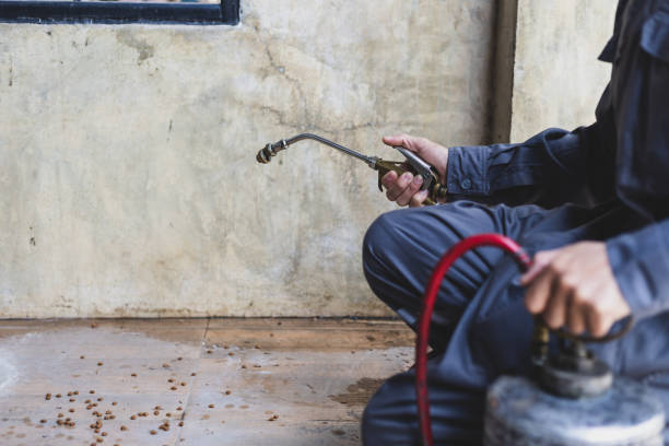 Best Affordable Pest Control Services  in Pelham Manor, NY